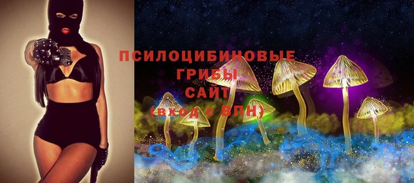 а пвп мука Алексеевка
