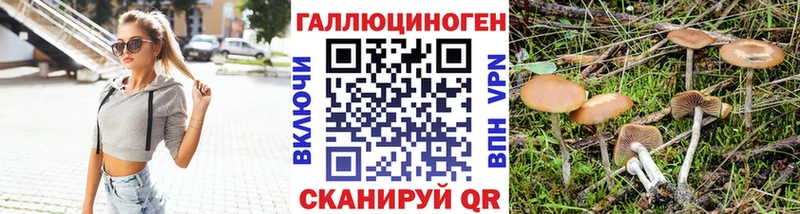 Купить где  Инза  Галлюциногенные грибы GOLDEN TEACHER 